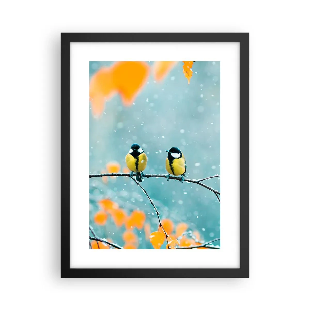 Plakat i sort ramme - Sladder om fugle - 30x40 cm