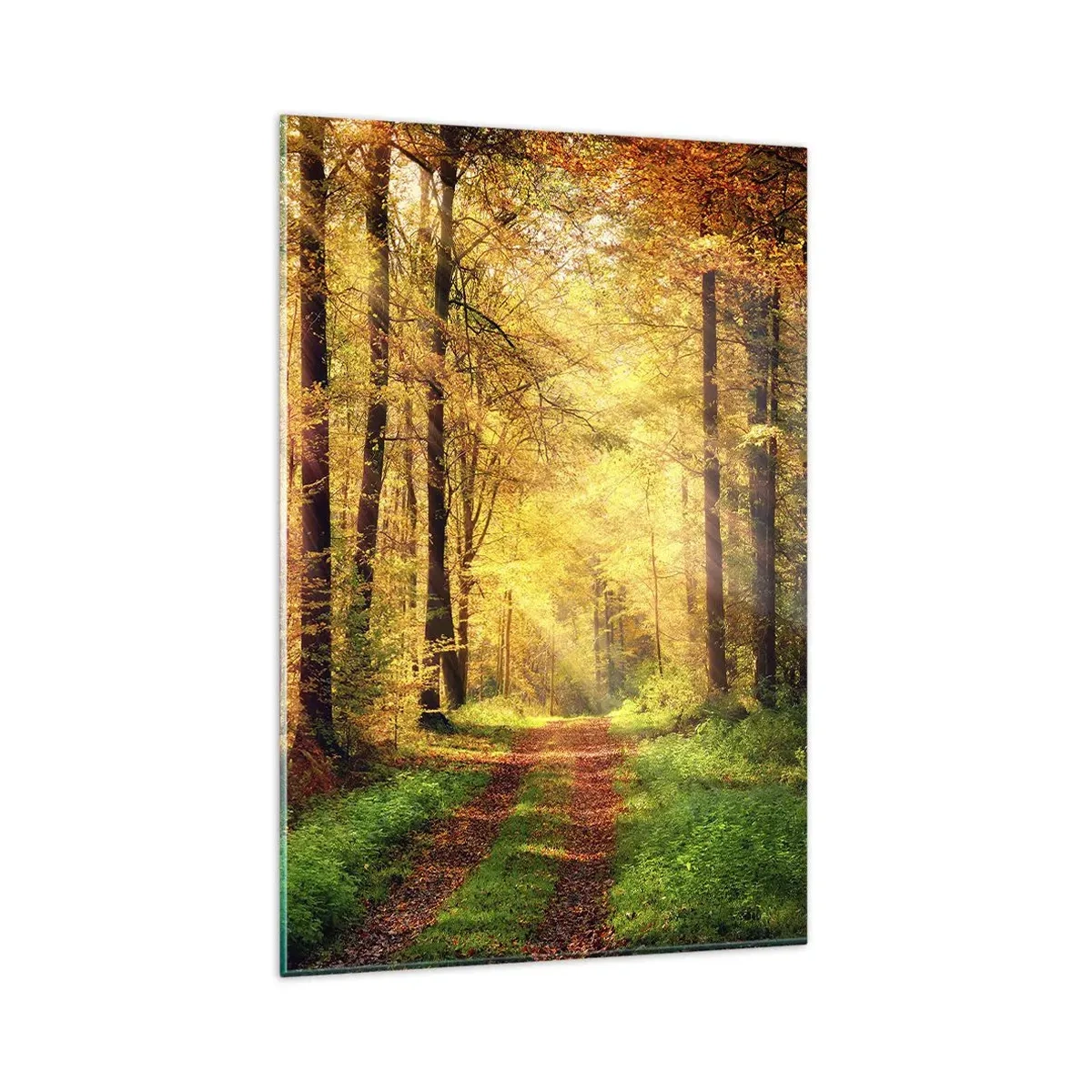 Billede på glas - Skovgylden stilhed - 80x120 cm