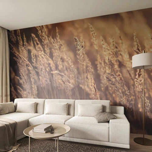 Fototapet Selvklæbende Deluxe Sticker - Klar til at byde efteråret velkommen - Landskab, Ører af Korn, Eng - 350x256 cm