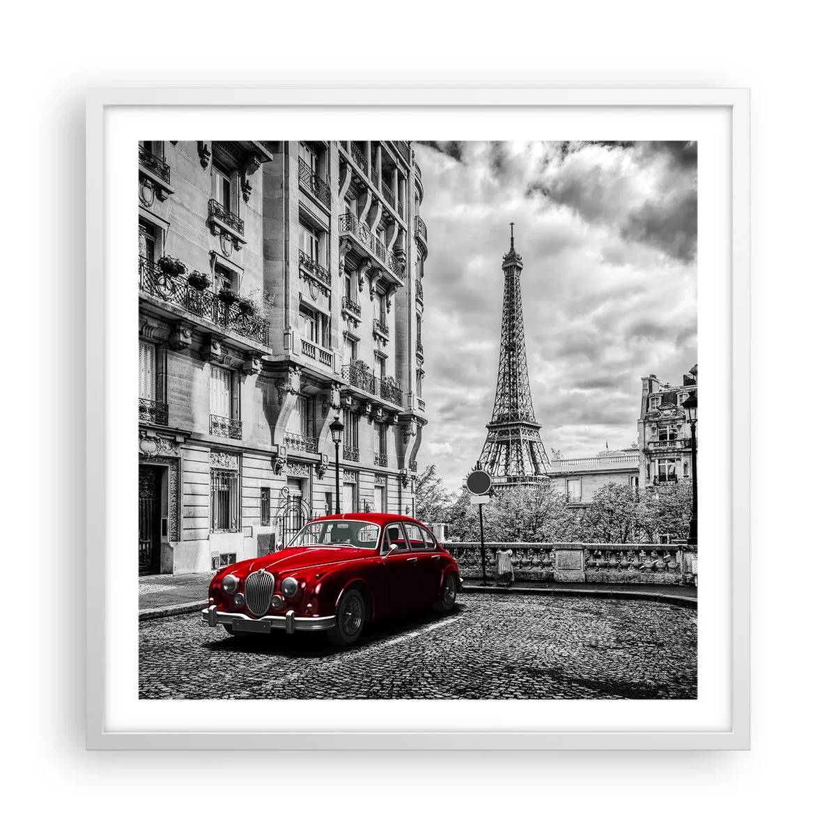 Plakat i hvid ramme - Rovdyr i byen - 60x60 cm