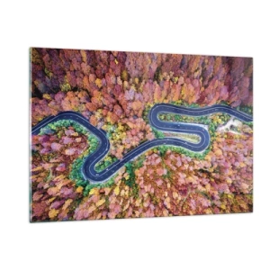 Billede på glas - En snoet vej gennem skoven - 120x80 cm