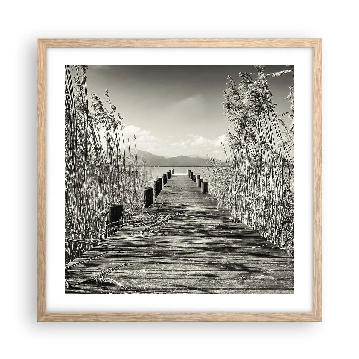 Plakat i ramme af lyst egetræ - I græssernes fred - 50x50 cm
