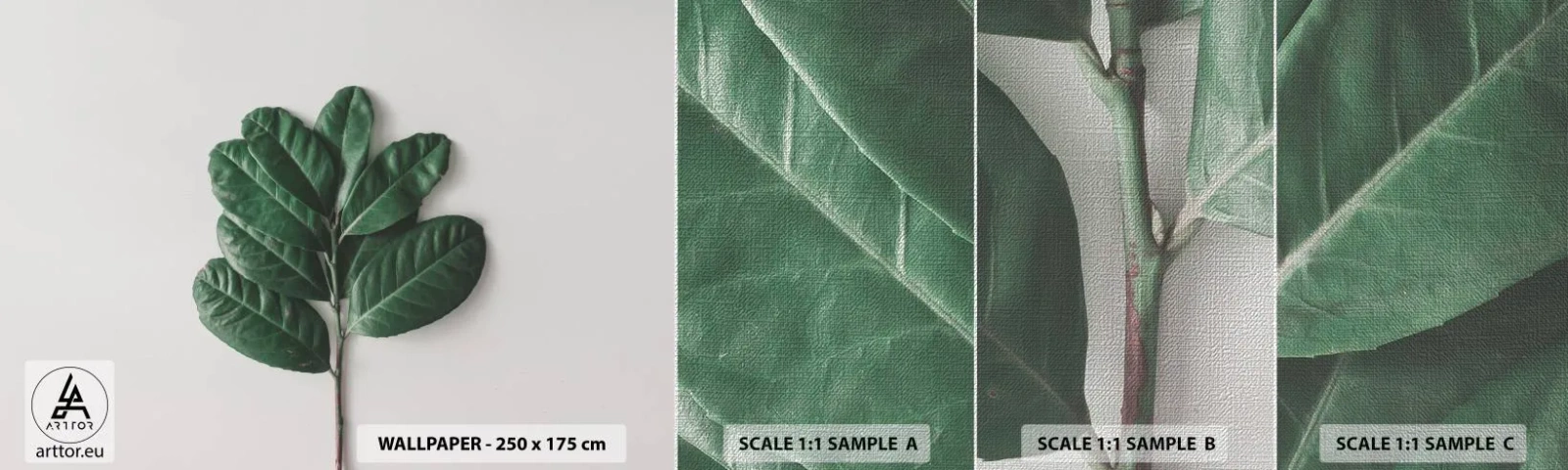 Prøve Fototapet Premium Canvas - Tegning af selve naturen - Blade, Plante, Natur - 100x30 cm