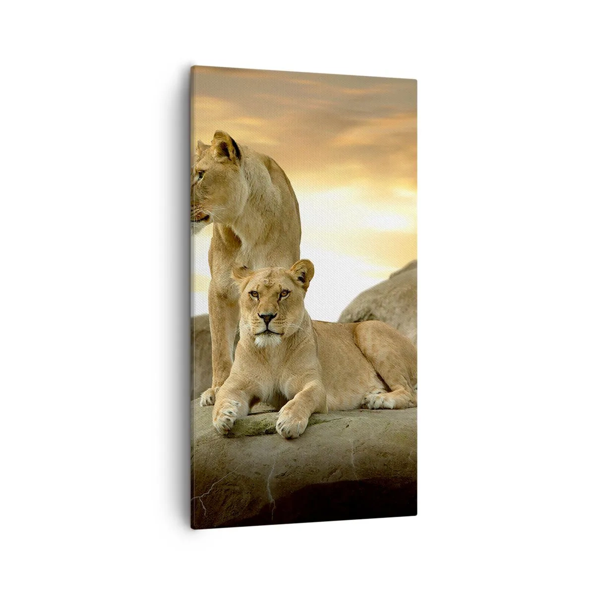 Lærredstryk - Billede på lærred - Kongelig majestæt - 55x100 cm