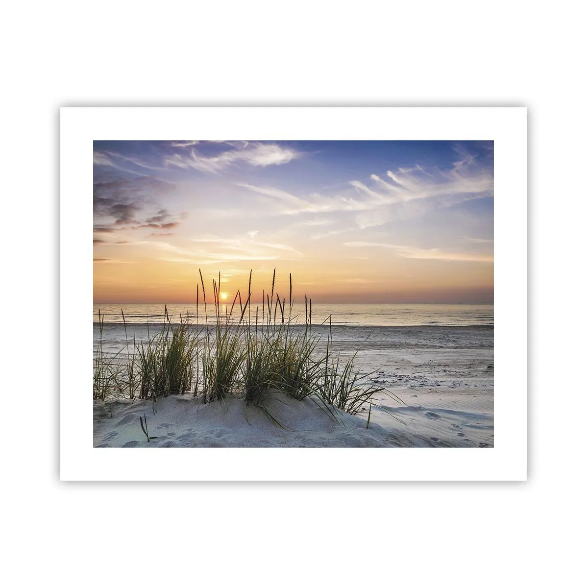 Plakat - Se, tænk, føl - 50x40 cm