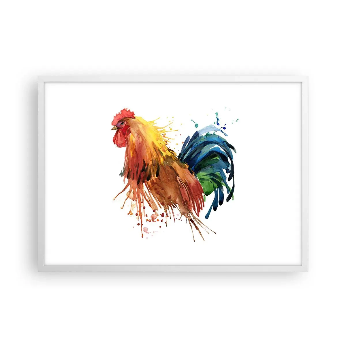 Plakat i hvid ramme - Kongelig kappe, kongelig stolthed - 70x50 cm