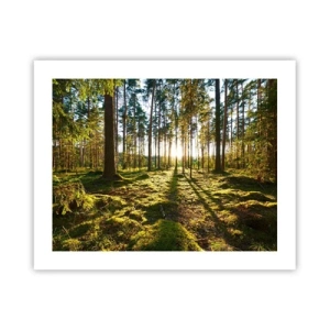 Plakat - ...Bag de syv skove - 50x40 cm