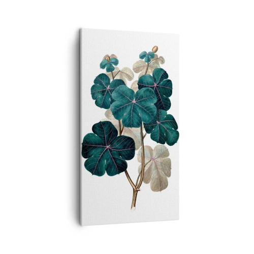 Lærredstryk - Billede på lærred - Fra et gammelt herbarium - 45x80 cm