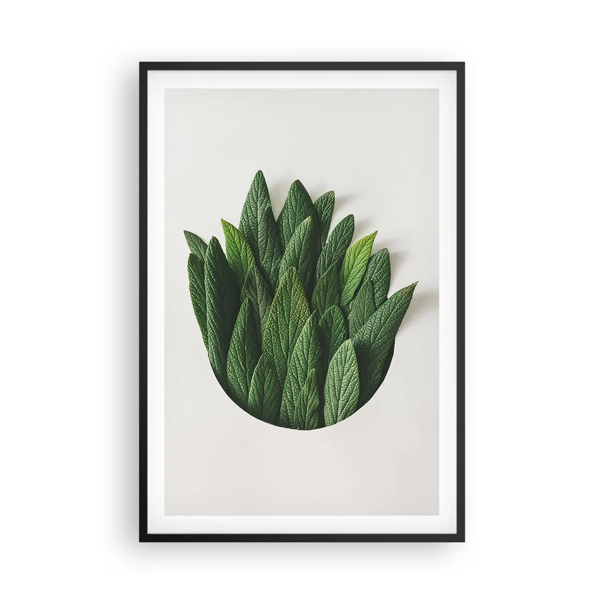 Plakat i sort ramme - Uhæmmet nysgerrighed - 61x91 cm