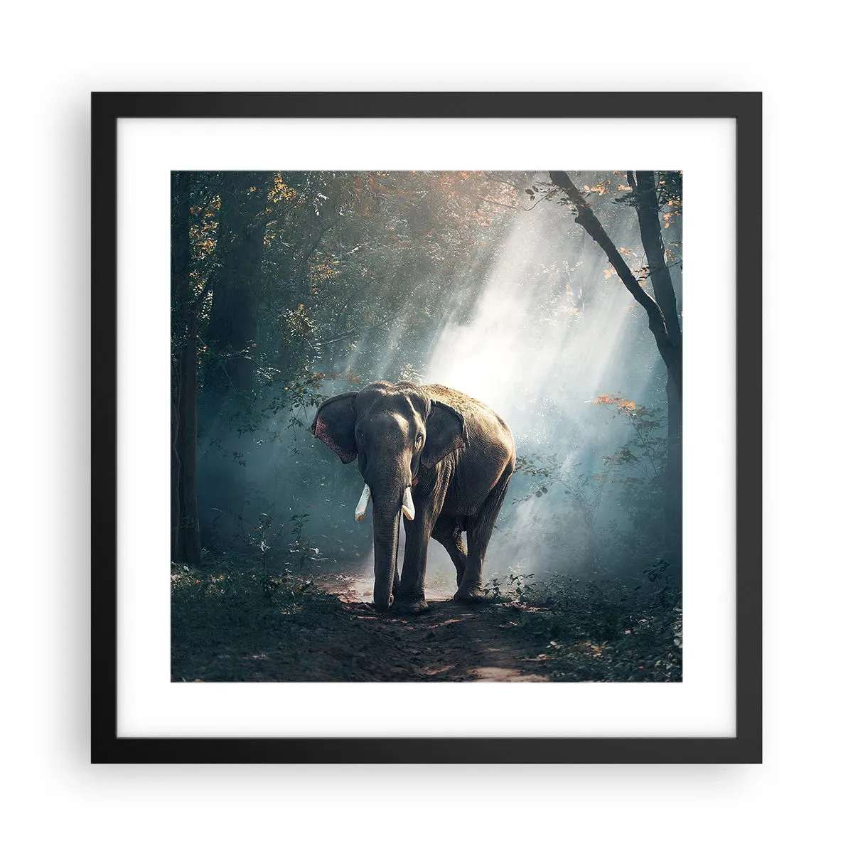 Plakat i sort ramme - En fredelig gåtur - 40x40 cm