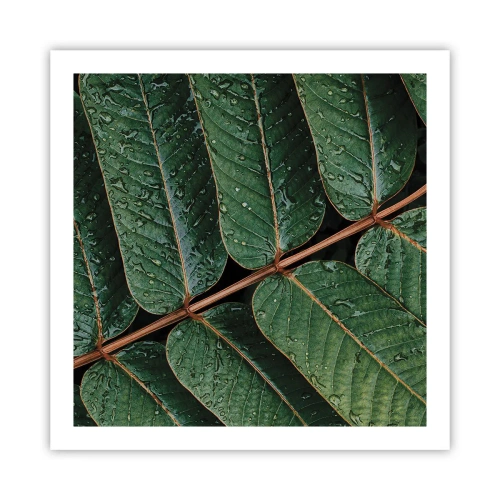 Plakat - I en grøn rytme - 60x60 cm