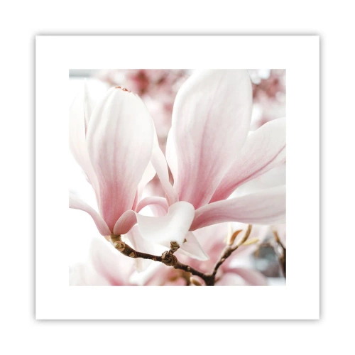 Plakat - Ømhedens umådelighed - 30x30 cm