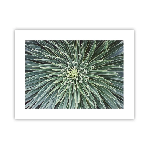 Plakat - En stjernes fødsel - 40x30 cm