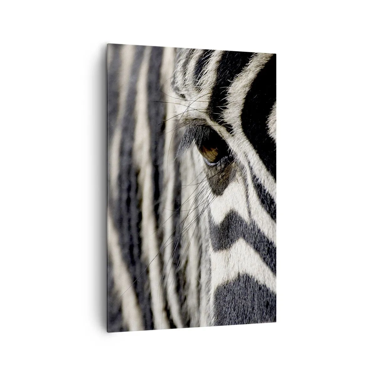 Lærredstryk - Billede på lærred - Stribet portræt - 80x120 cm