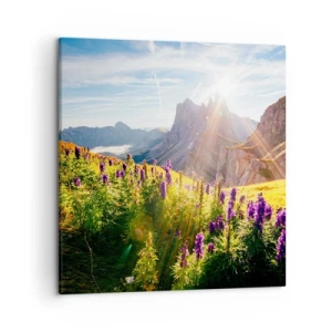 Lærredstryk - Billede på lærred - Urternes hemmelige liv - 50x50 cm