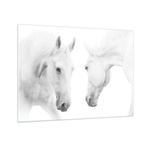 Billede på glas - To hvide heste står over for hinanden mod en lys baggrund - 70x50cm - Er dette venskab...? - Moderne vægdekoration til stue og soveværelse ARTTOR