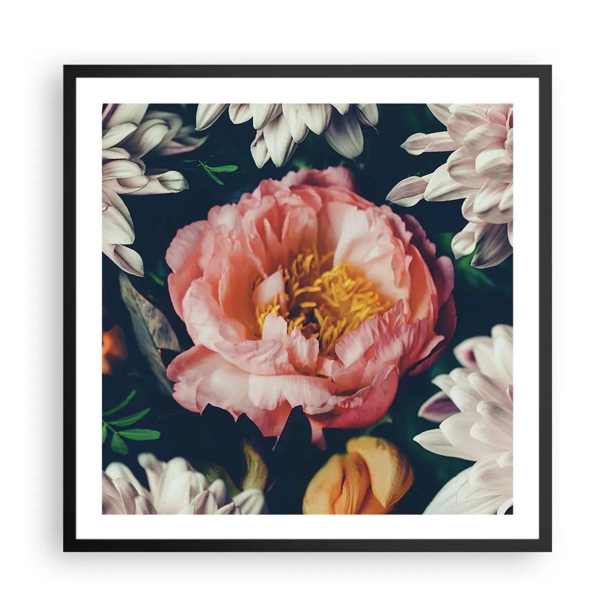 Plakat i sort ramme - Med barok pragt - 60x60 cm