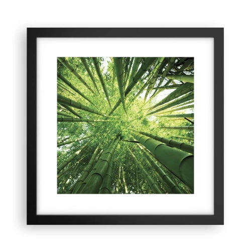 Plakat i sort ramme - I en bambuslund - 30x30 cm