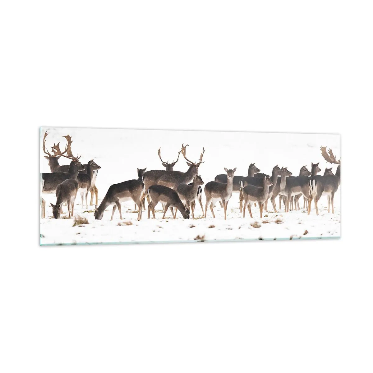Billede på glas - Er det snart jul? - 90x30 cm