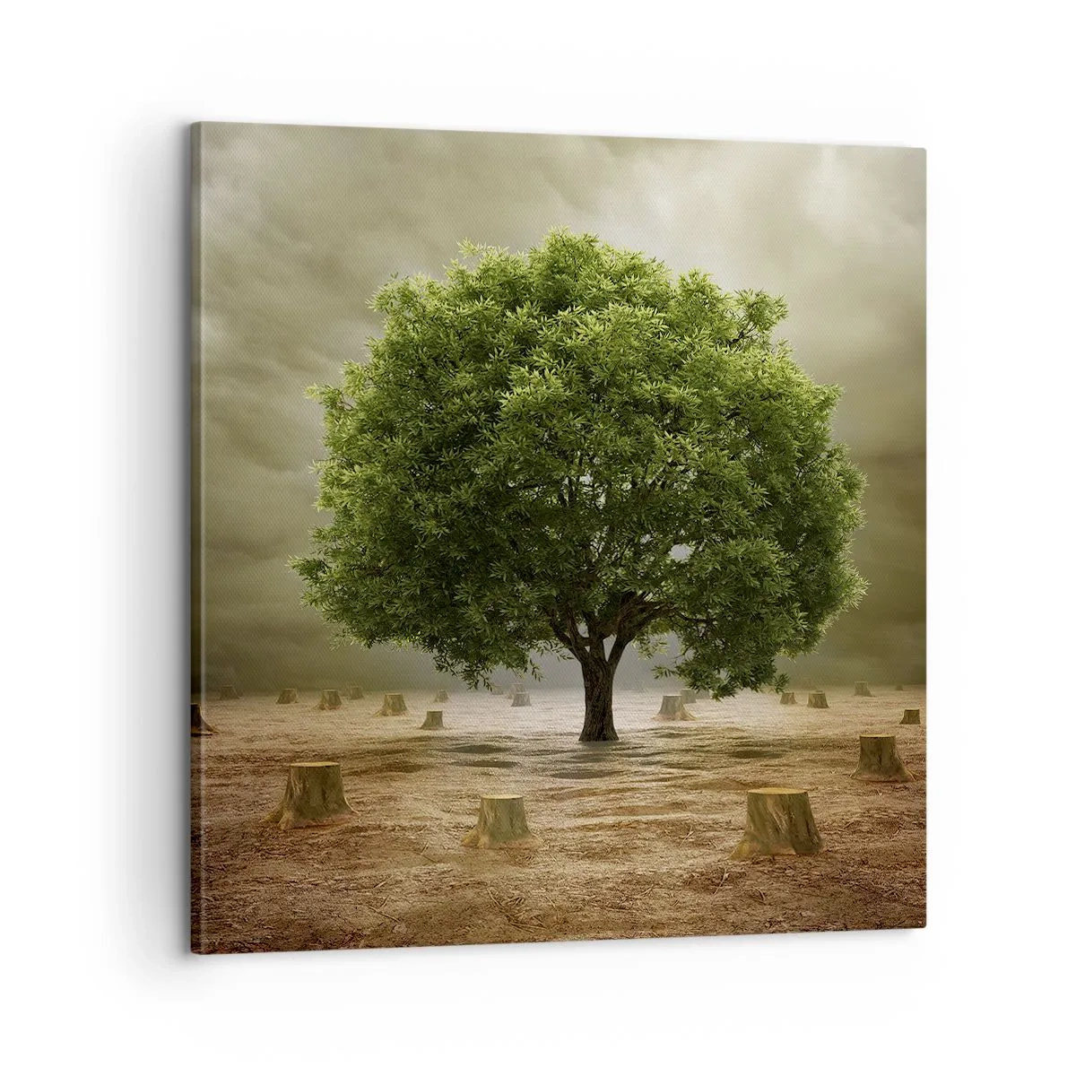 Lærredstryk - Billede på lærred - Alt håb - 60x60 cm