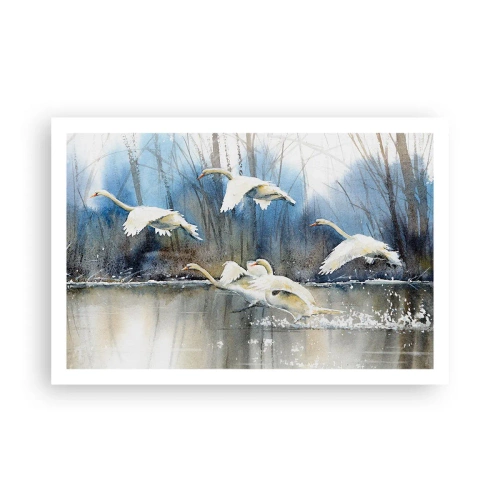 Plakat - Som i en fortælling om vilde svaner - 91x61 cm