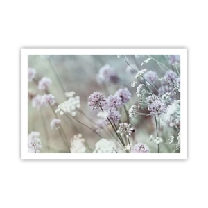 Plakat - Søde filigranurter - 91x61 cm