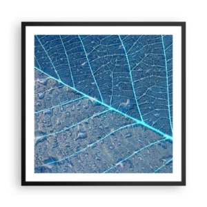 Plakat i sort ramme - Livet i det blå - 60x60 cm