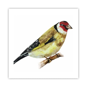 Plakat - Portræt af en fugl - 50x50 cm