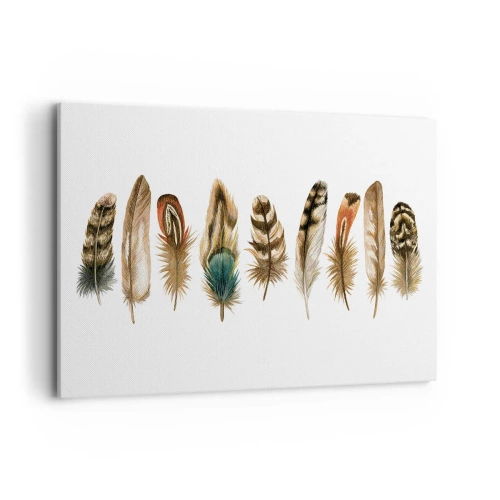 Lærredstryk - Billede på lærred - Variation med fjer - 120x80 cm