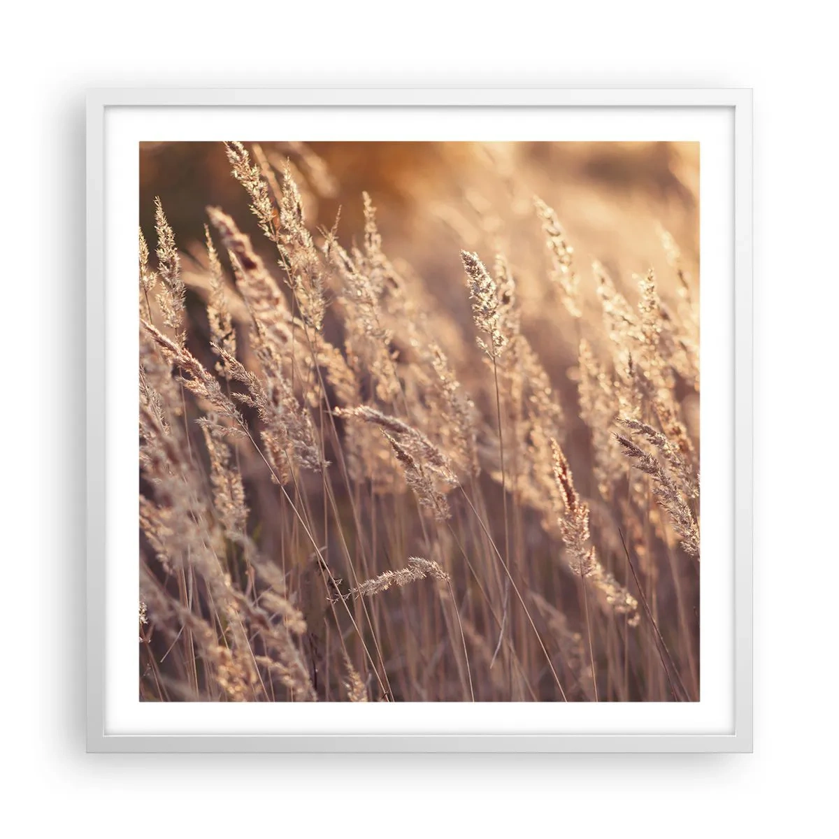 Plakat i hvid ramme - Klar til at byde efteråret velkommen - 60x60 cm