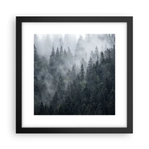 Plakat i sort ramme - Skovens daggry - 30x30 cm