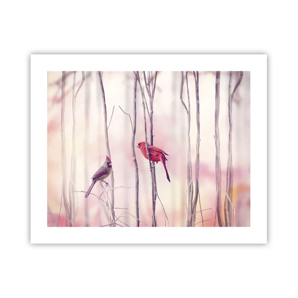 Plakat - Fortællingen om den lyserøde skov - 50x40 cm