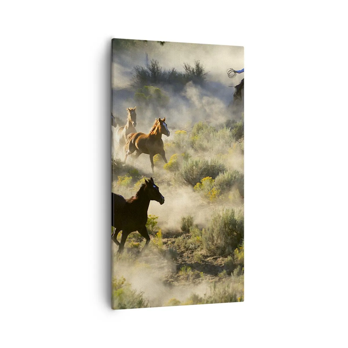 Lærredstryk - Billede på lærred - Rivalisering - frihed eller maskulin kraft? - 55x100 cm