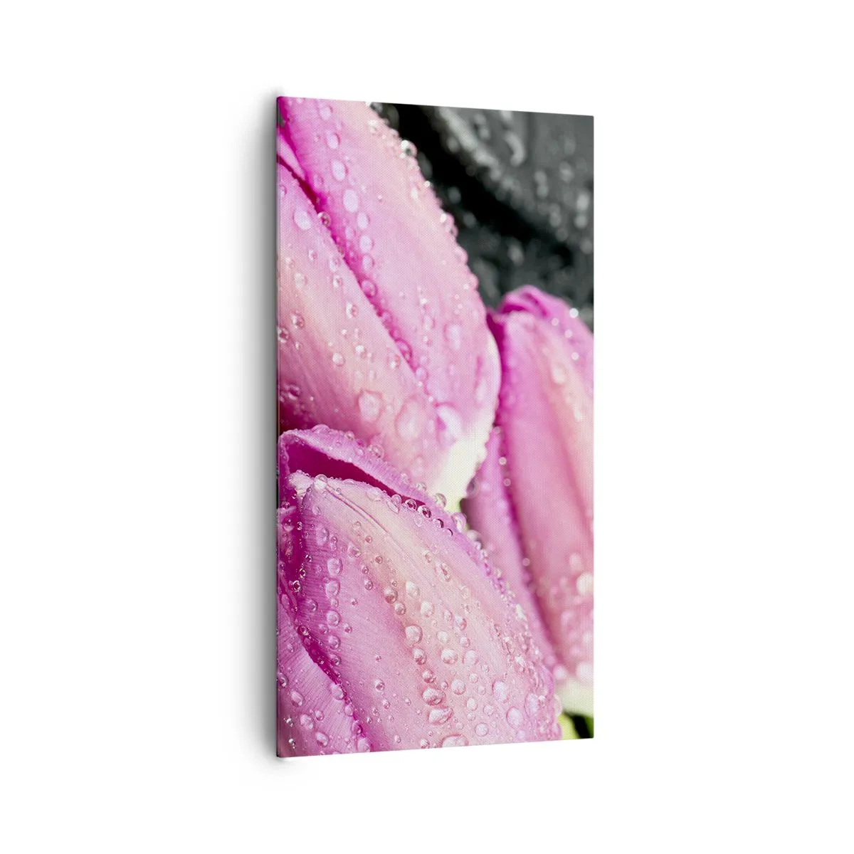 Lærredstryk - Billede på lærred - Lilla tre på sort sten - 65x120 cm