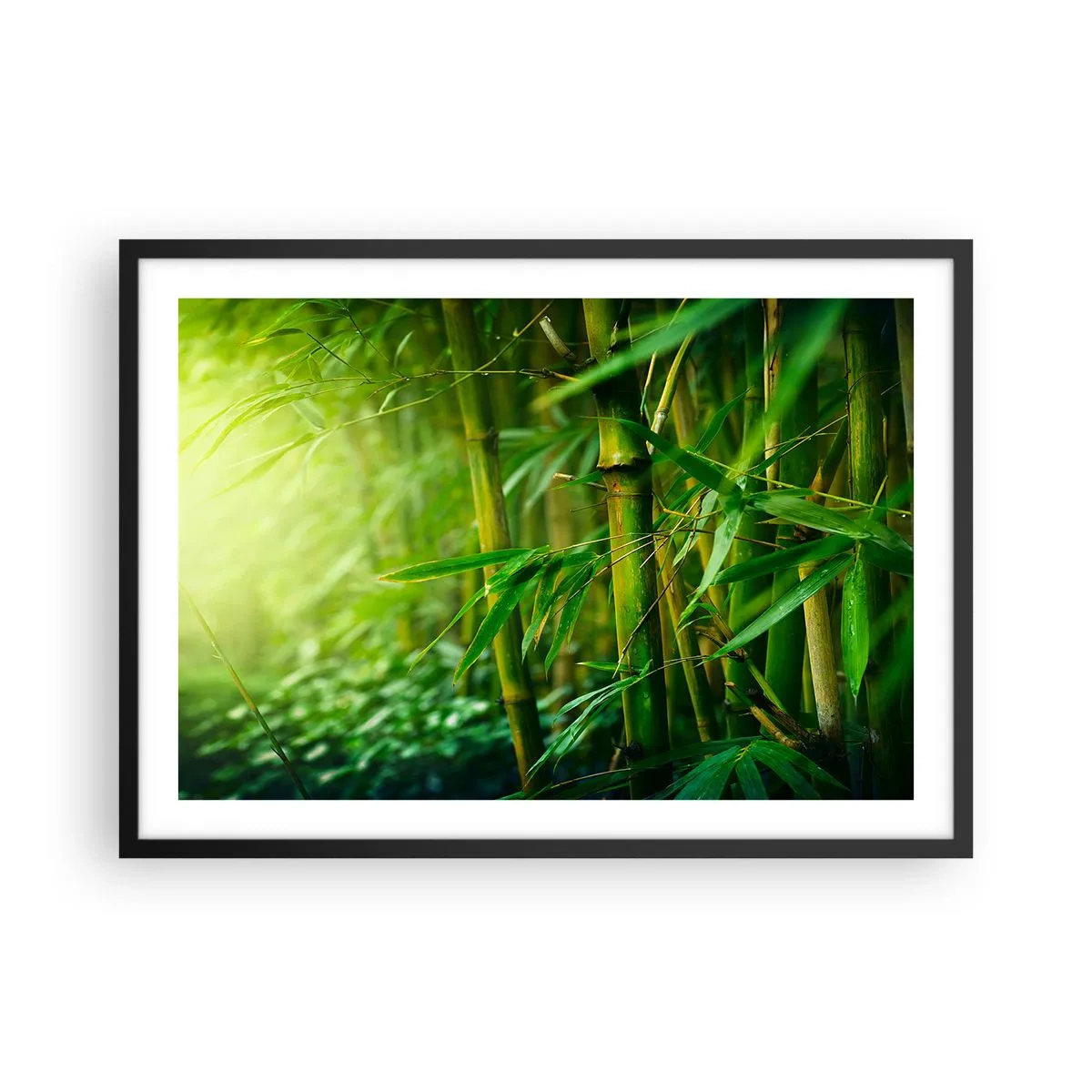 Plakat i sort ramme - Lær selve det grønne at kende - 70x50 cm