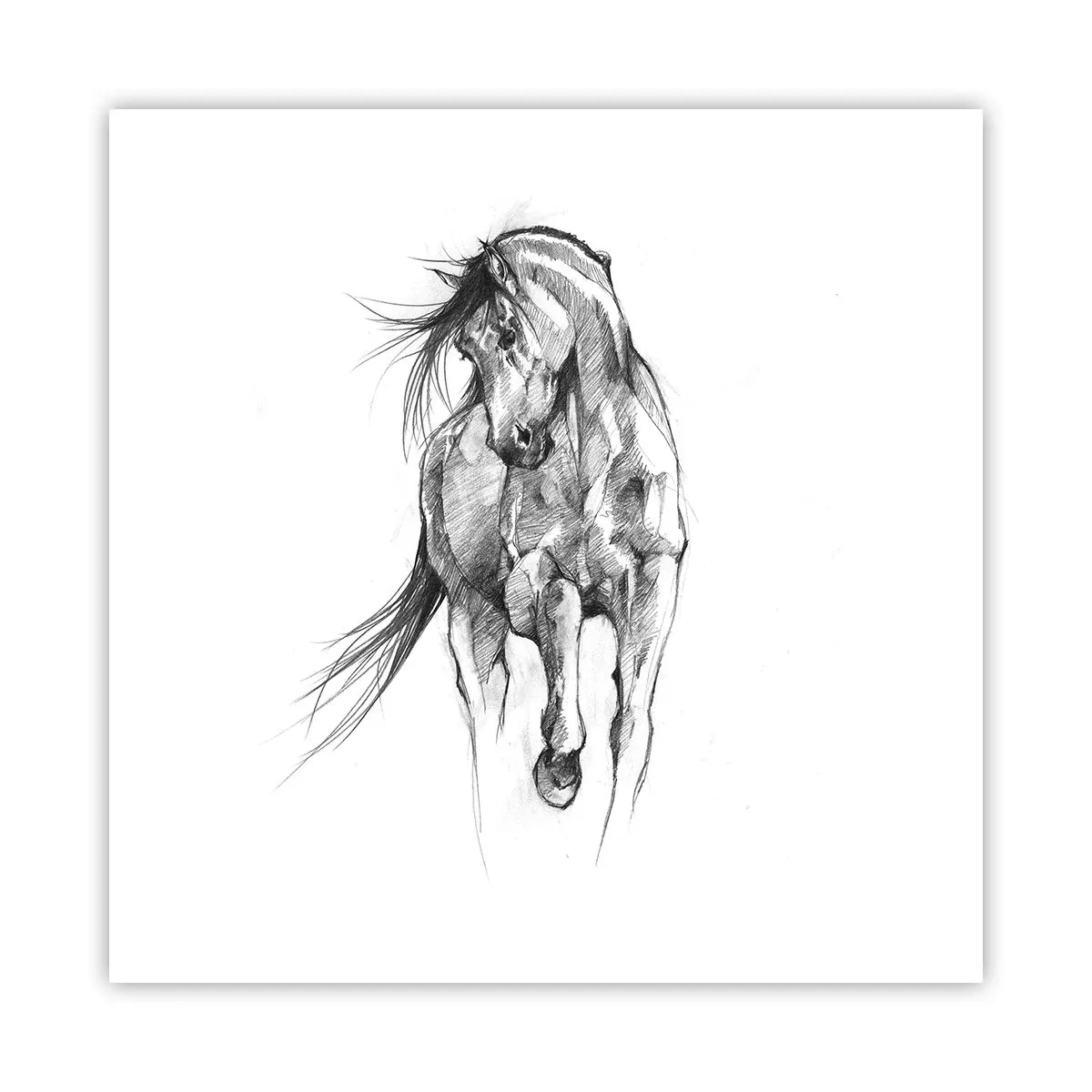 Plakat - I en yndefuld trav - 50x50 cm
