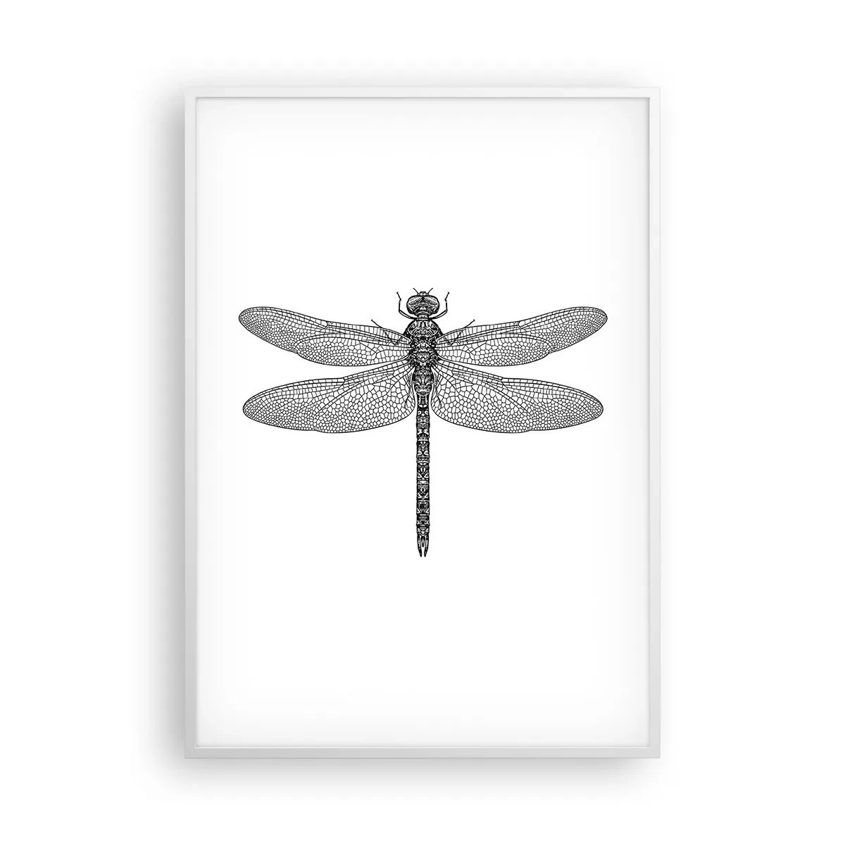 Plakat i hvid ramme - Præcision i naturen - 70x100 cm