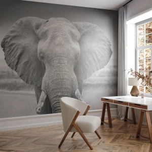 Fototapet Premium Canvas - Velkommen til min verden - Elefant, Afrika, Dyr - 150x105 cm