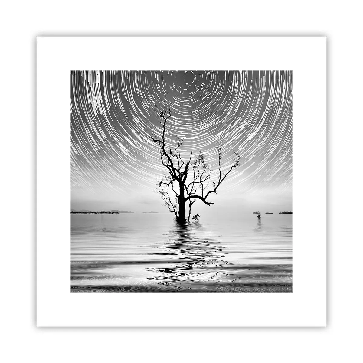 Plakat - En natursymfoni - 30x30 cm