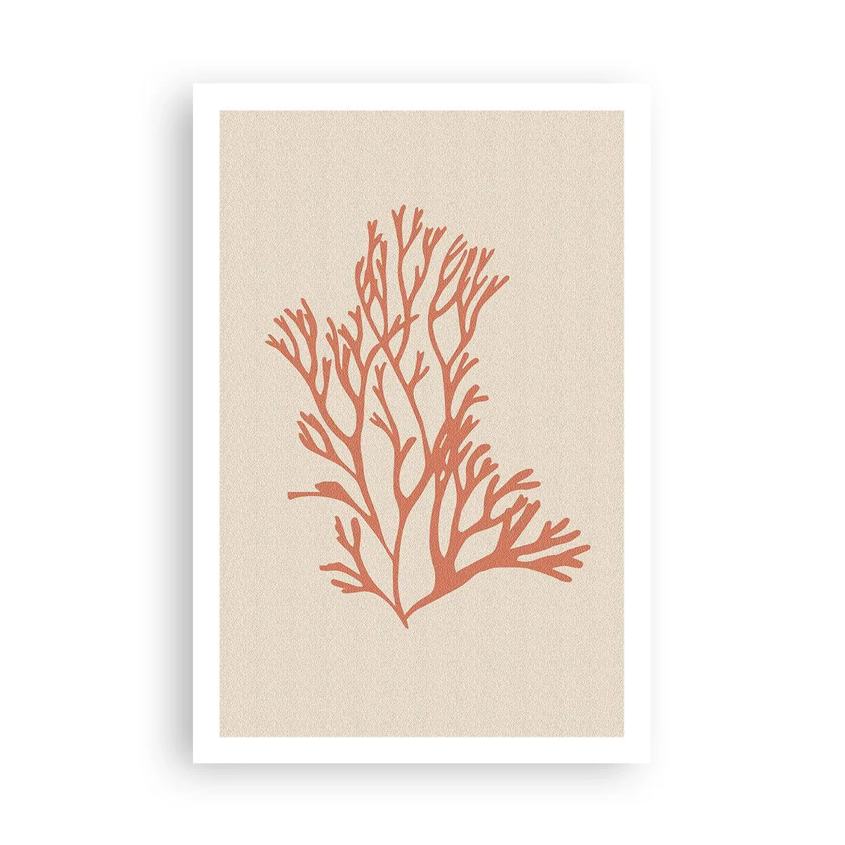 Plakat - Koral filigran - 61x91 cm