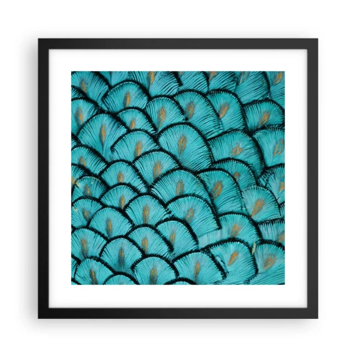 Plakat i sort ramme - Den store fjer-galla - 40x40 cm