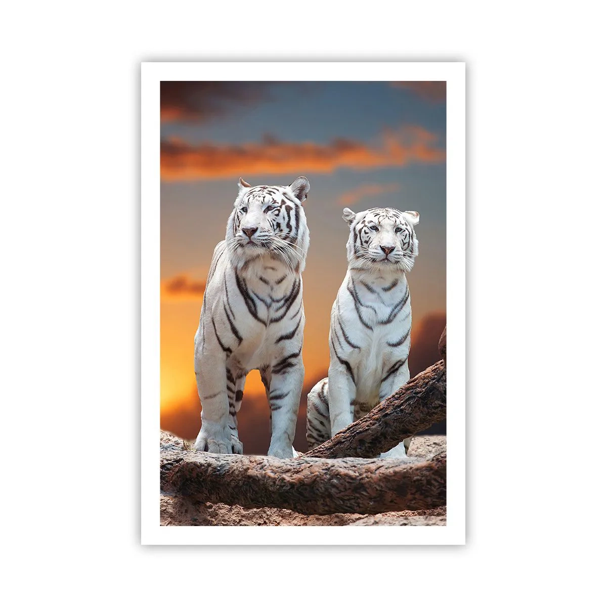 Plakat - Ligesom i Narnia - 61x91 cm