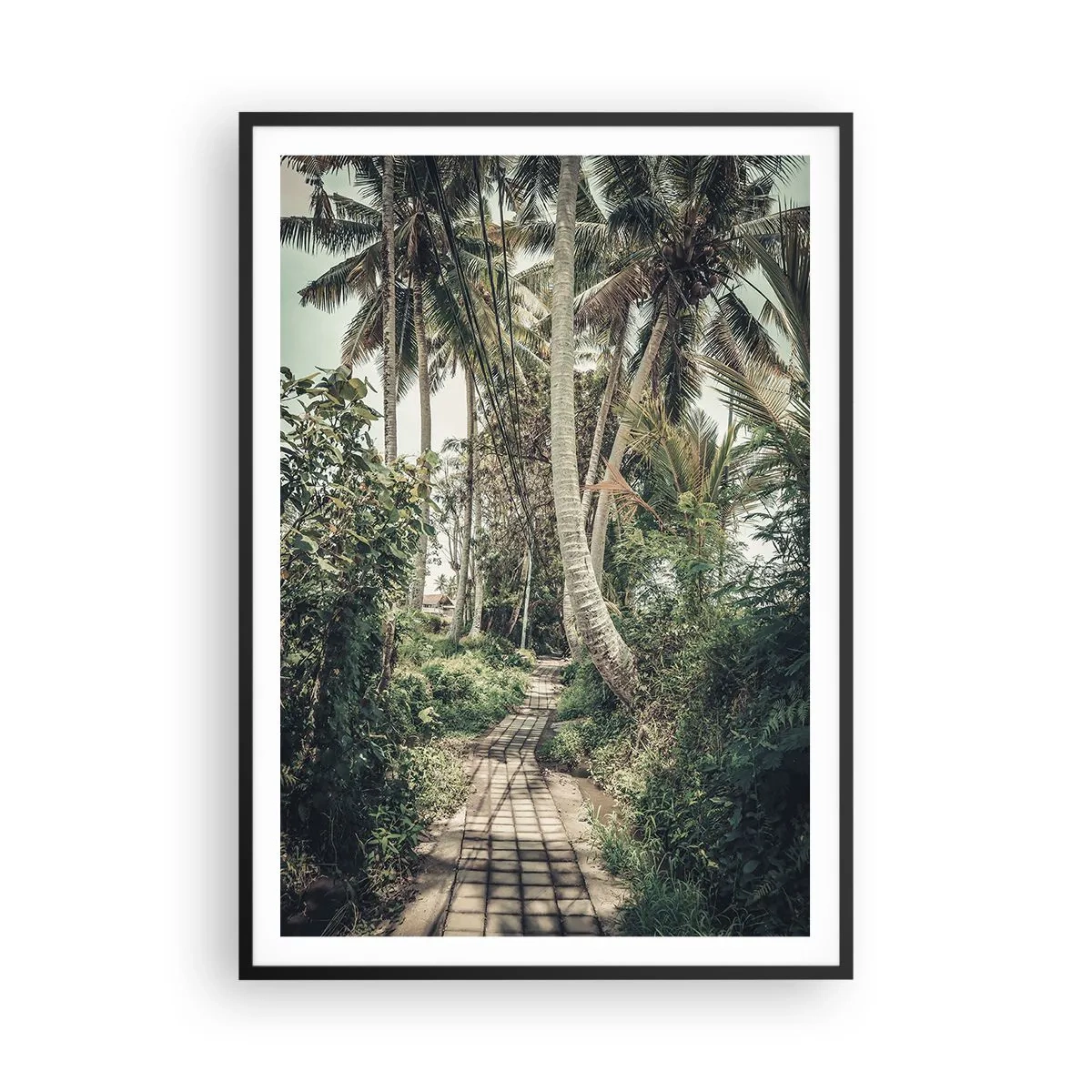 Plakat i sort ramme - Palmeallé - 70x100 cm