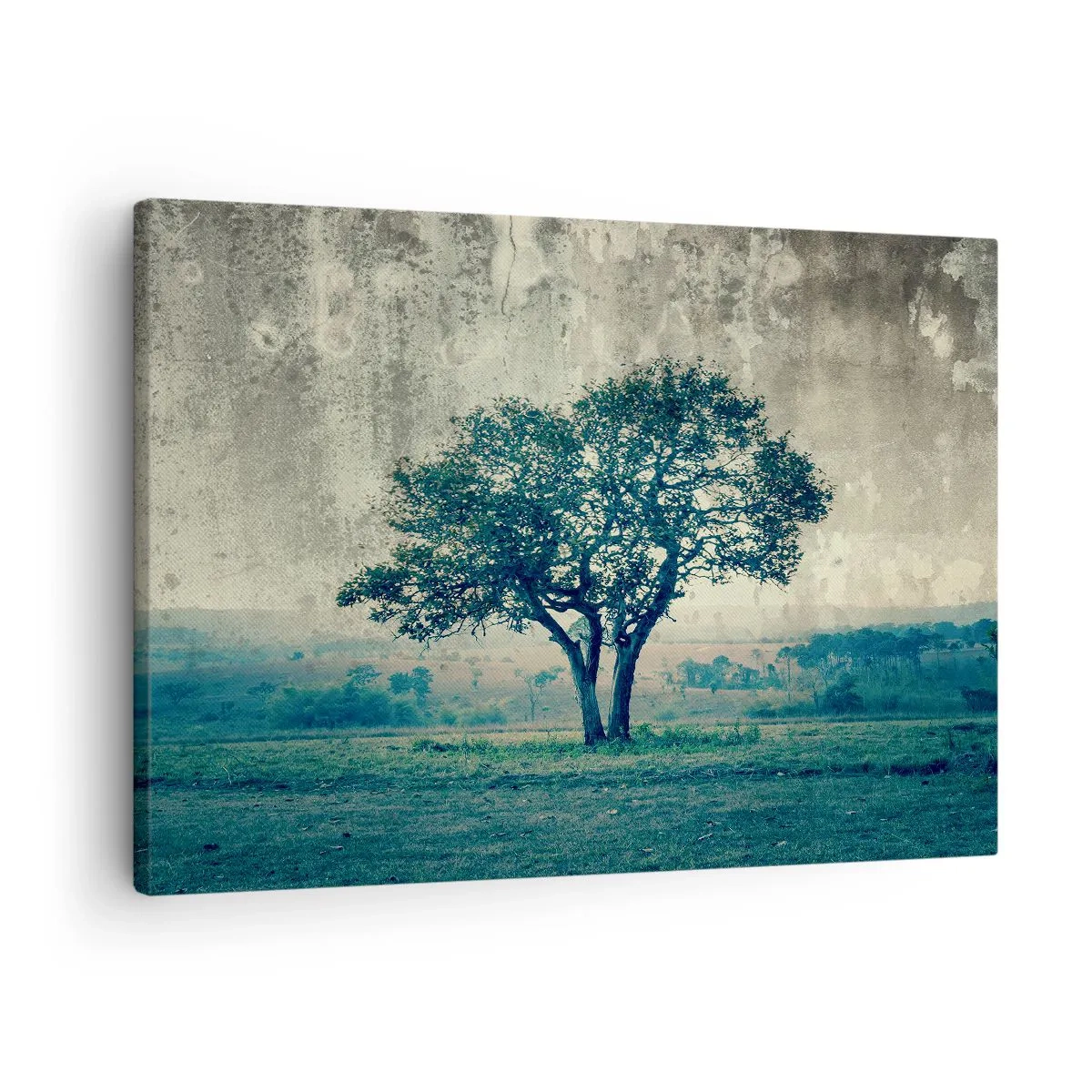 Lærredstryk - Billede på lærred - Et ensomt træ mod et tåget landskab - 70x50cm - Et æbletræ på en blå membran? - Moderne vægdekoration til stue og soveværelse ARTTOR