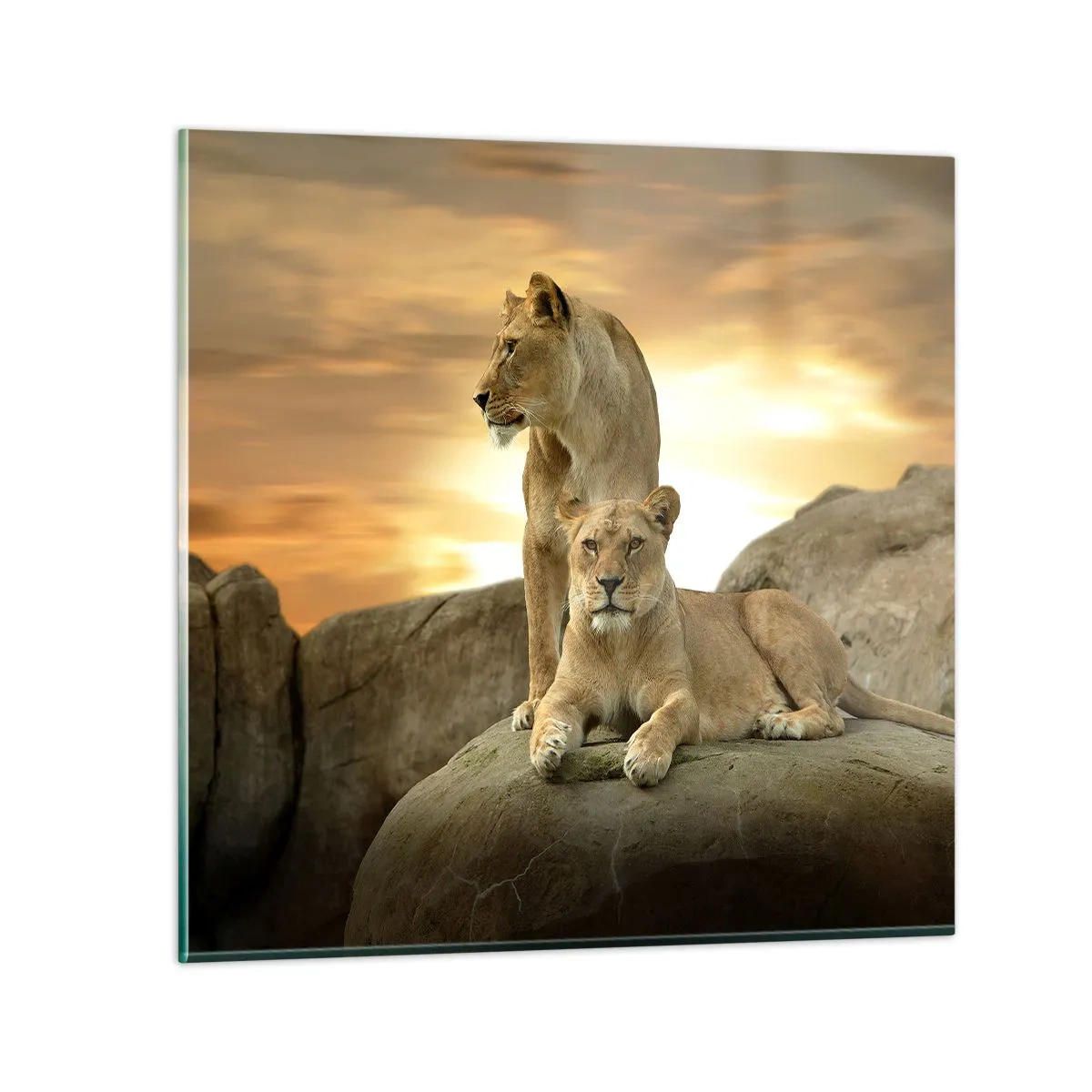 Billede på glas - Kongelig majestæt - 60x60 cm