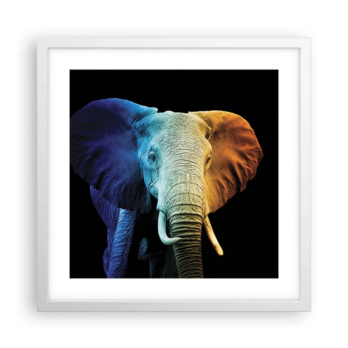 Plakat i hvid ramme - Excentrisk, ikke underlig - 40x40 cm