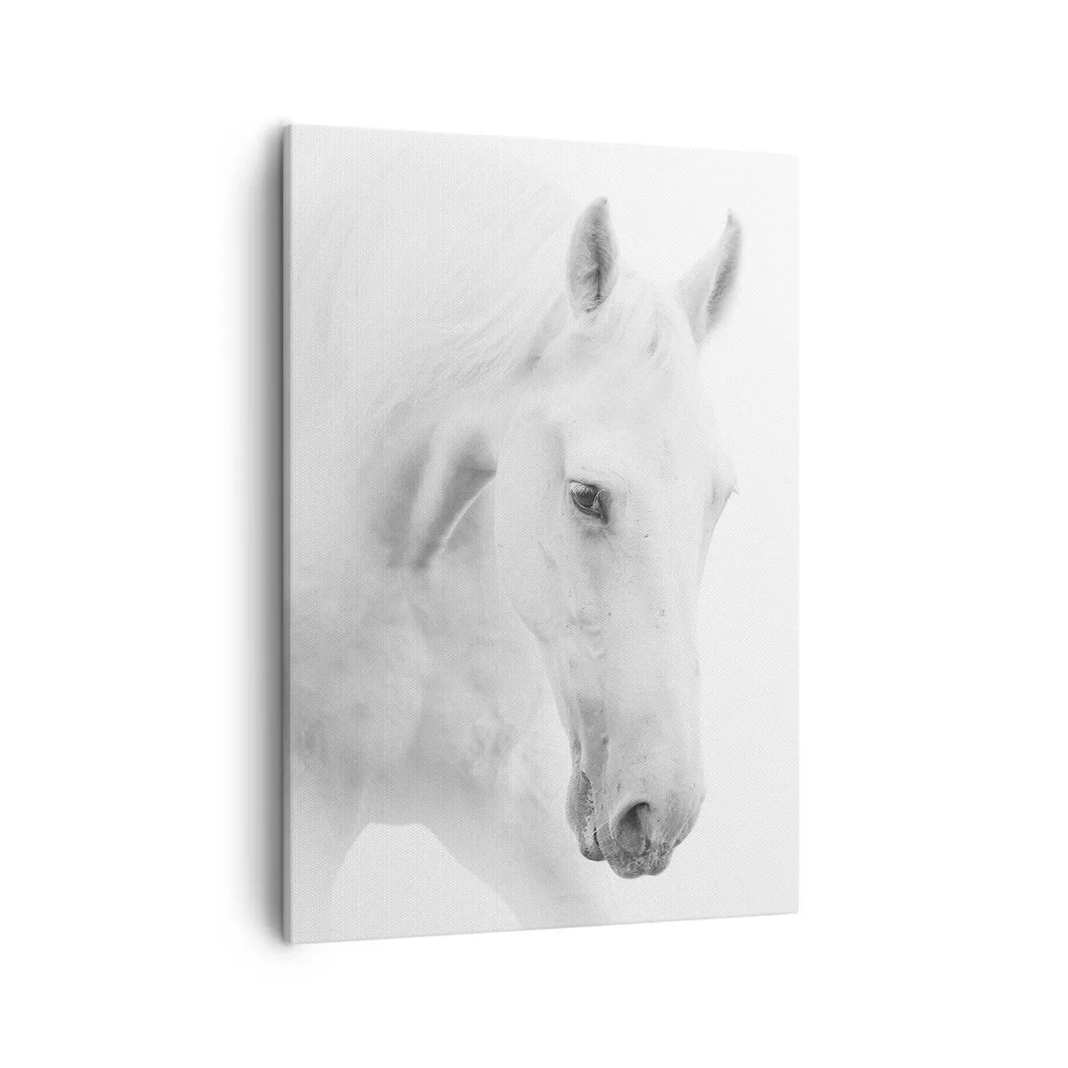 Lærredstryk - Billede på lærred - Er dette venskab...? - 50x70 cm