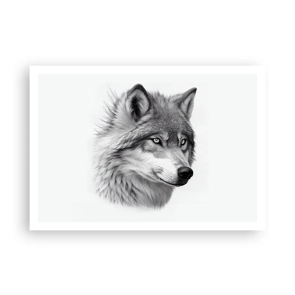 Plakat - Alpha - uden tvivl - 100x70 cm