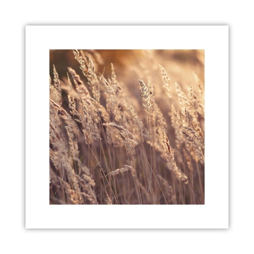 Plakat - Klar til at byde efteråret velkommen - 30x30 cm