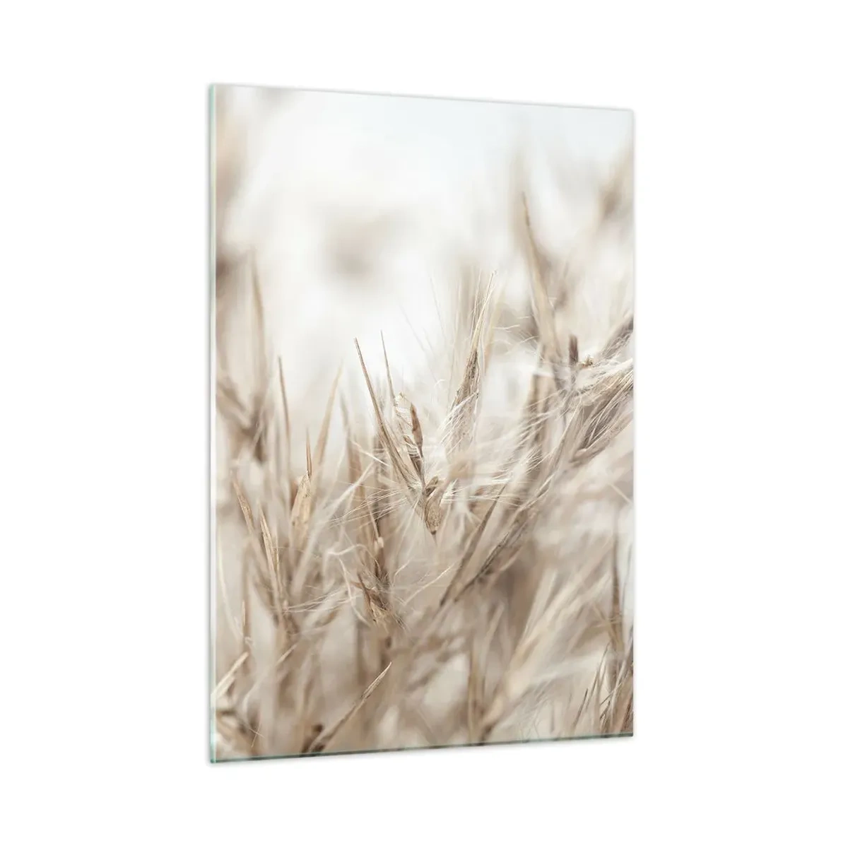 Billede på glas - Eng og vind - 50x70 cm